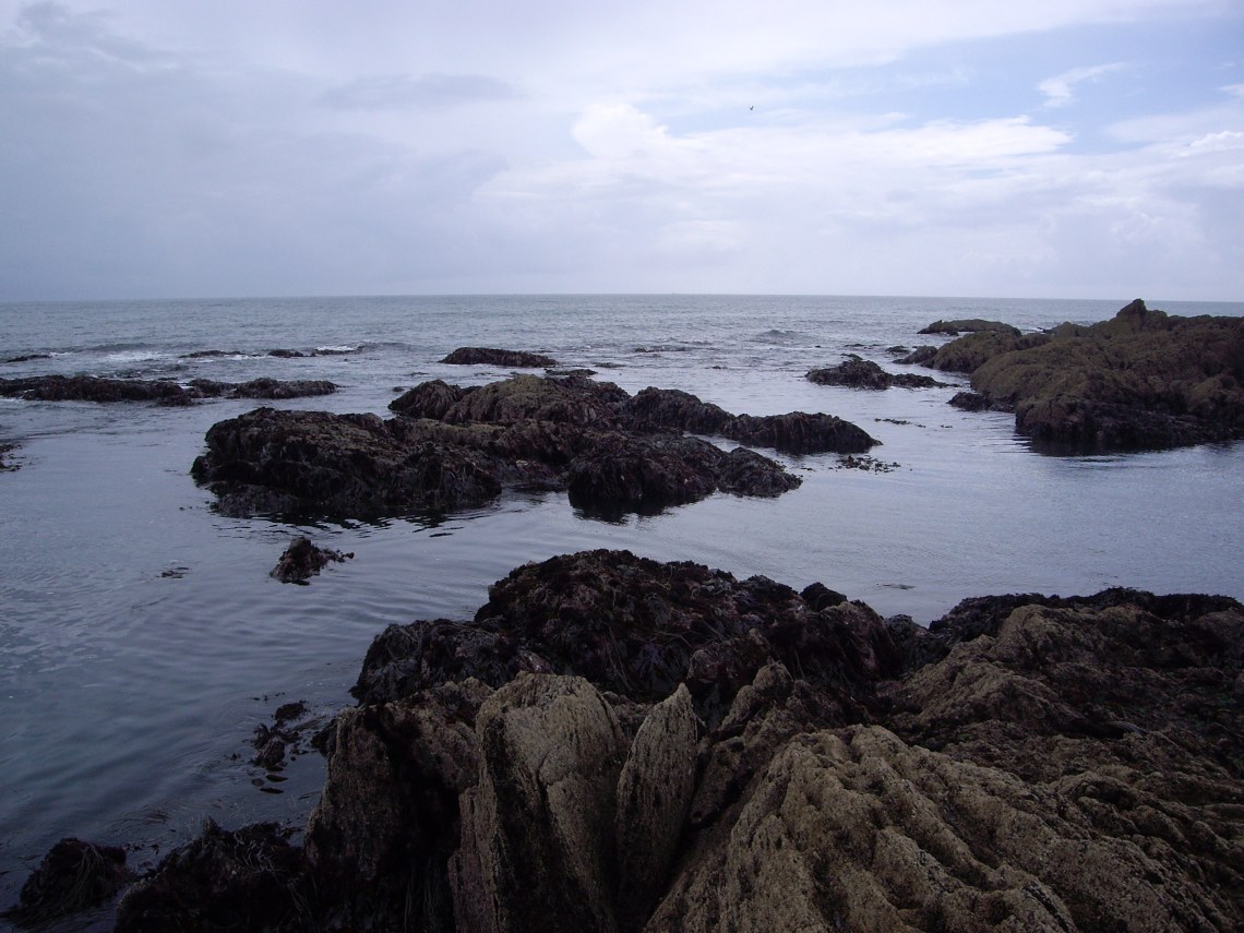 lure-fishing-for-bass