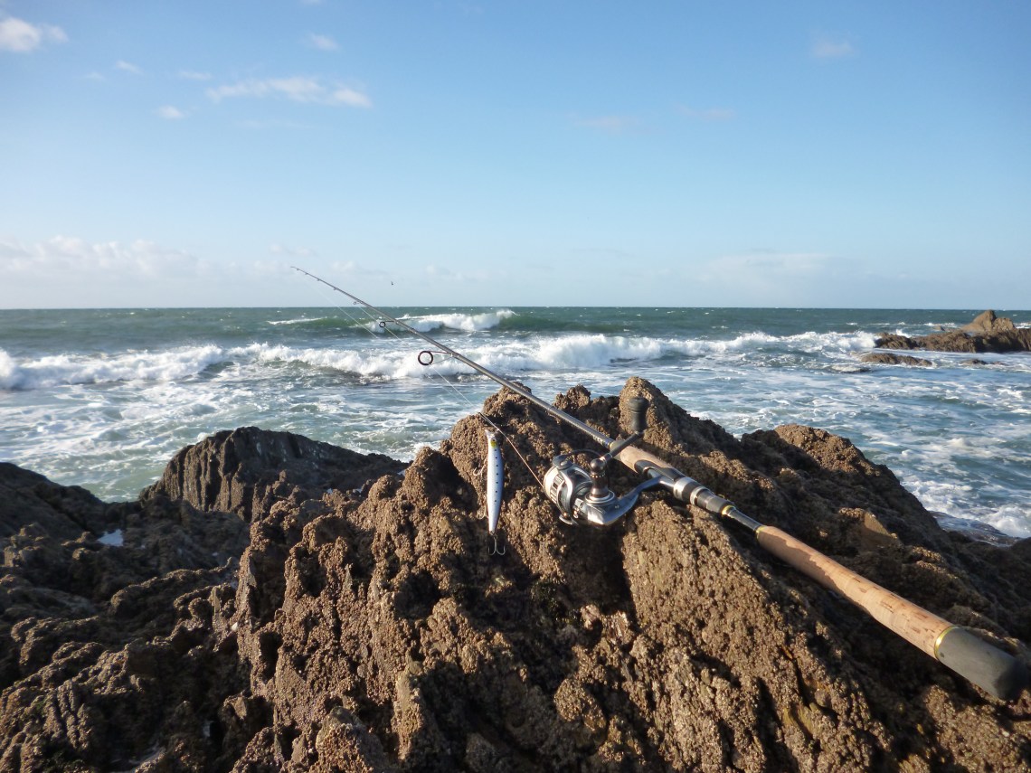 lure-fishing-bass-devon