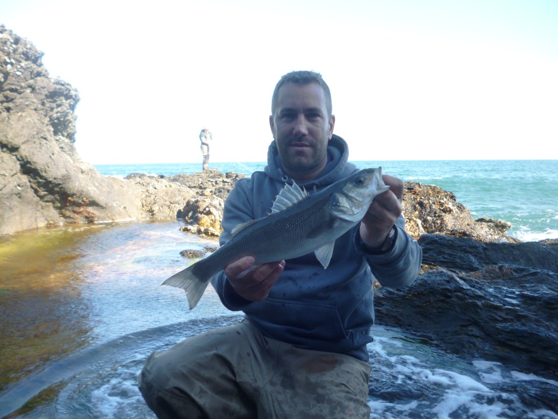 bass fishing near salcombe devon