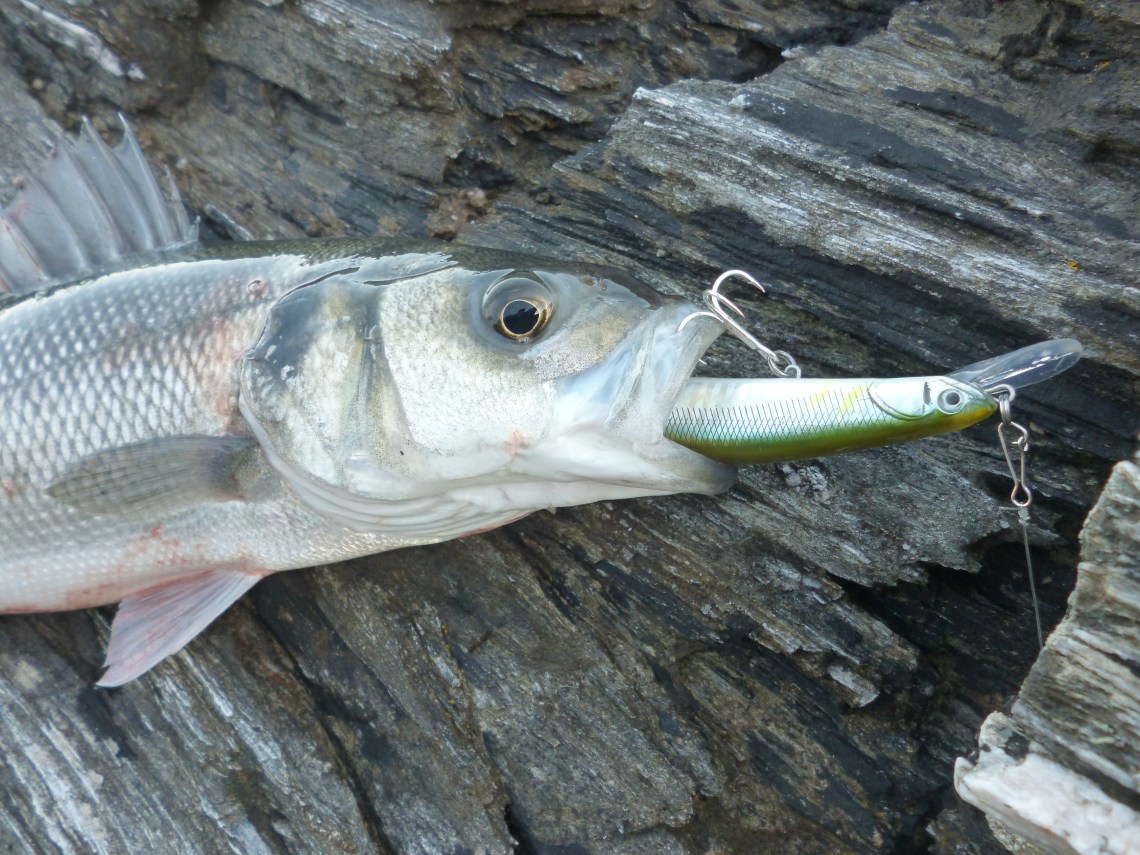 Savage Gear Pancil Prey 115