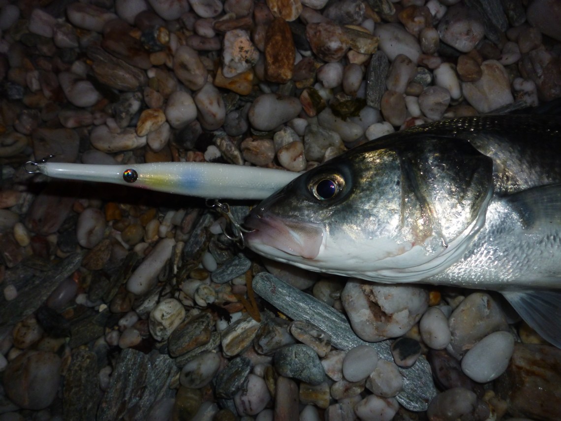 Bass catches on needlefish lures