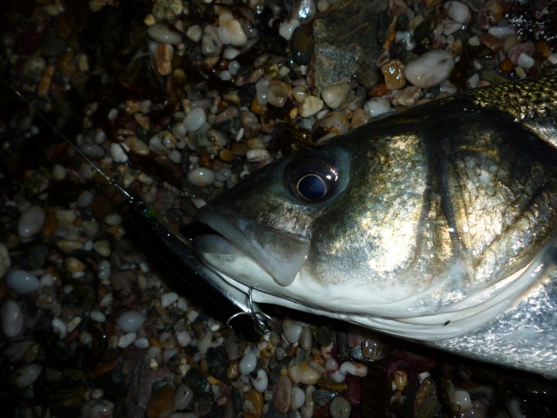 Maria lures bass fishing