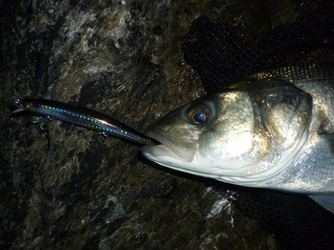 Bass caught on a Ryobi Trapper Minnow