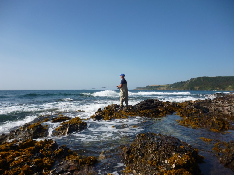 South Devon Bass Guide Ltd