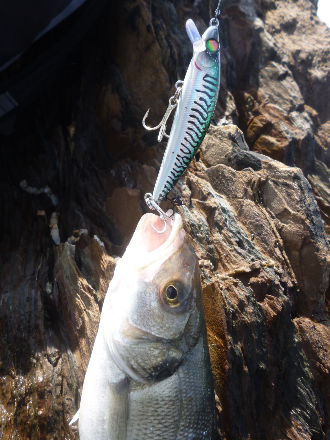 Savage Gear Manic Prey