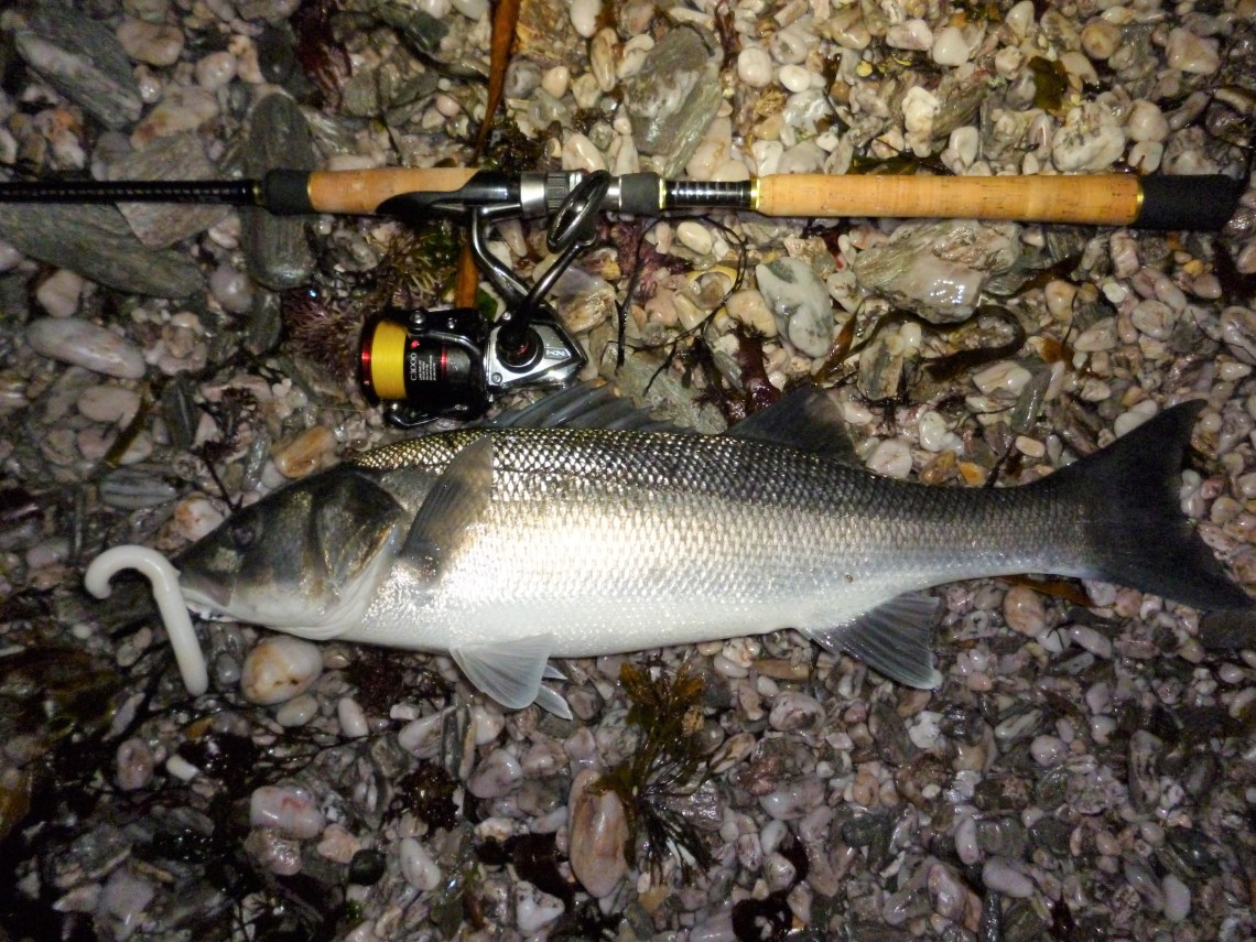 54cm bass caught in darkness