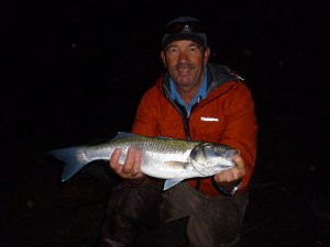 Bass at night on lures