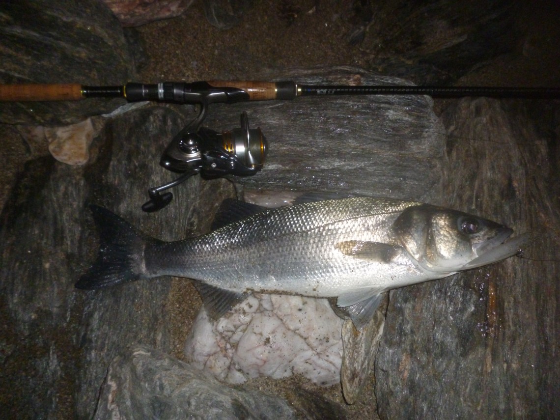 Bass caught on an Albie Snax