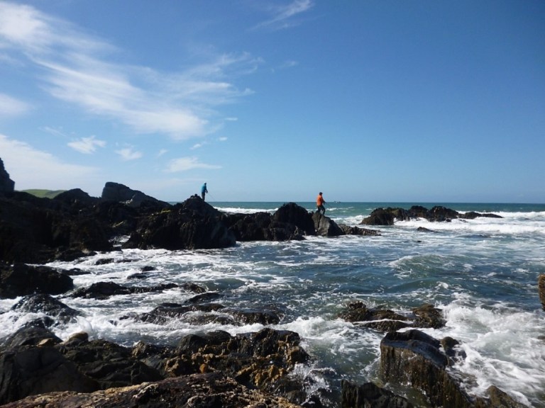 South Devon Bass Guide Ltd