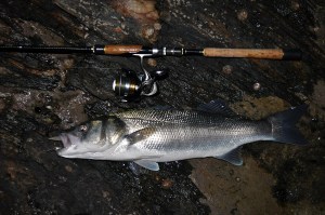 6lb bass caught at night