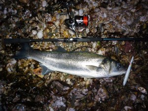 Bass caught on a Jim's Lures Needlefish