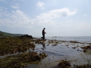 Bass fishing south hams