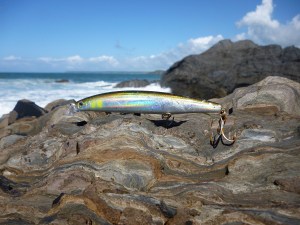 Daiwa Shoreline Shiner Z120F Vertice Ayu