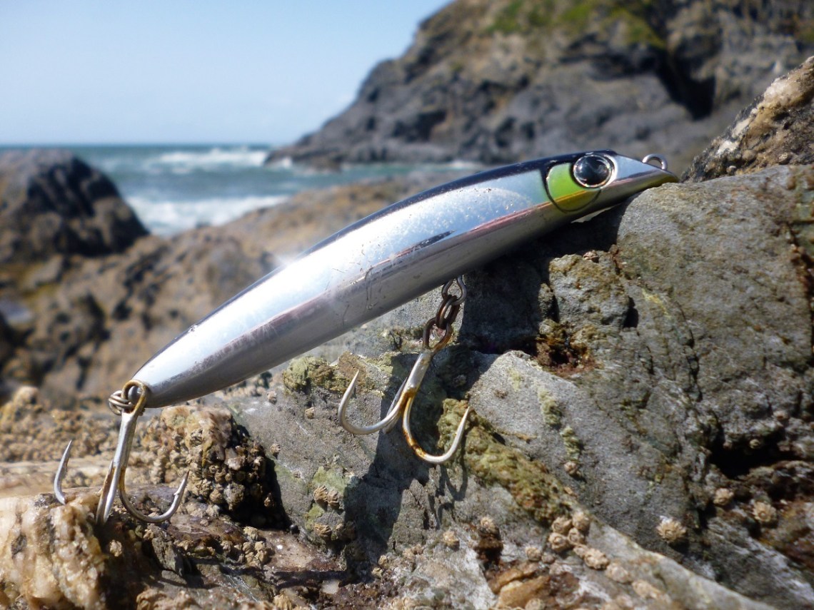 Maria Squash F95 (2)