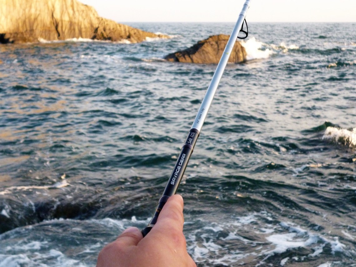 Savage Gear Salt CCS Lure Rod 2