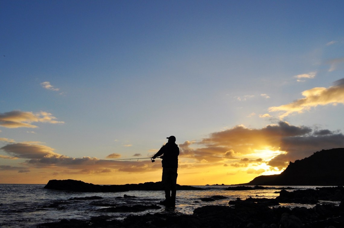 South Devon coastline