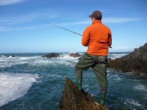 Stunning south Devon