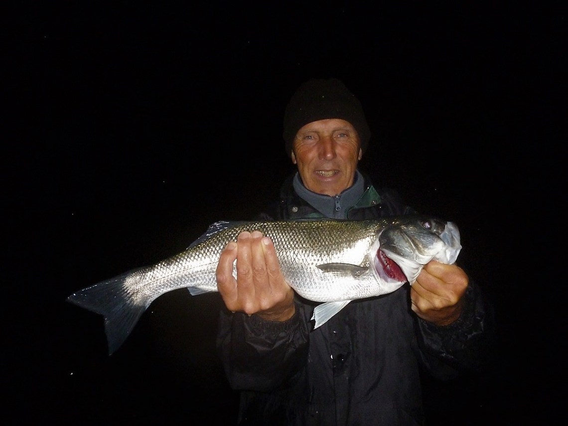Bass caught on a needlefish