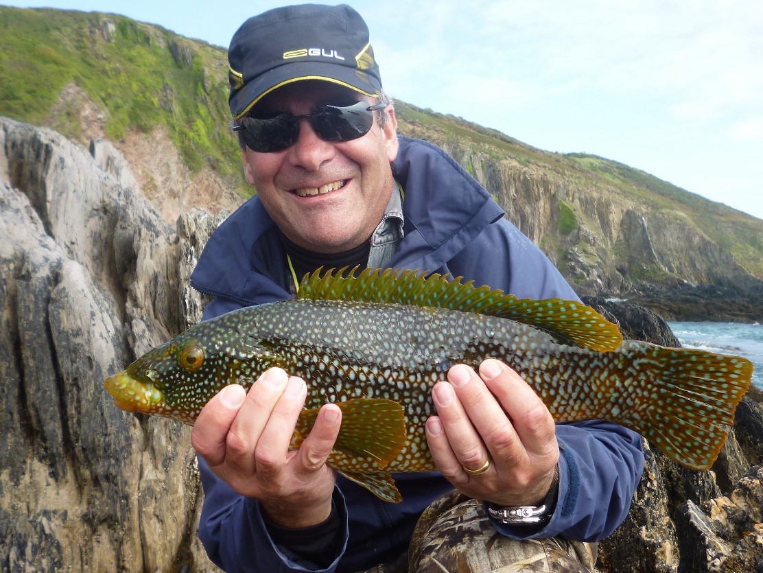 Wrasse caught on a DAM Kick S Minnow