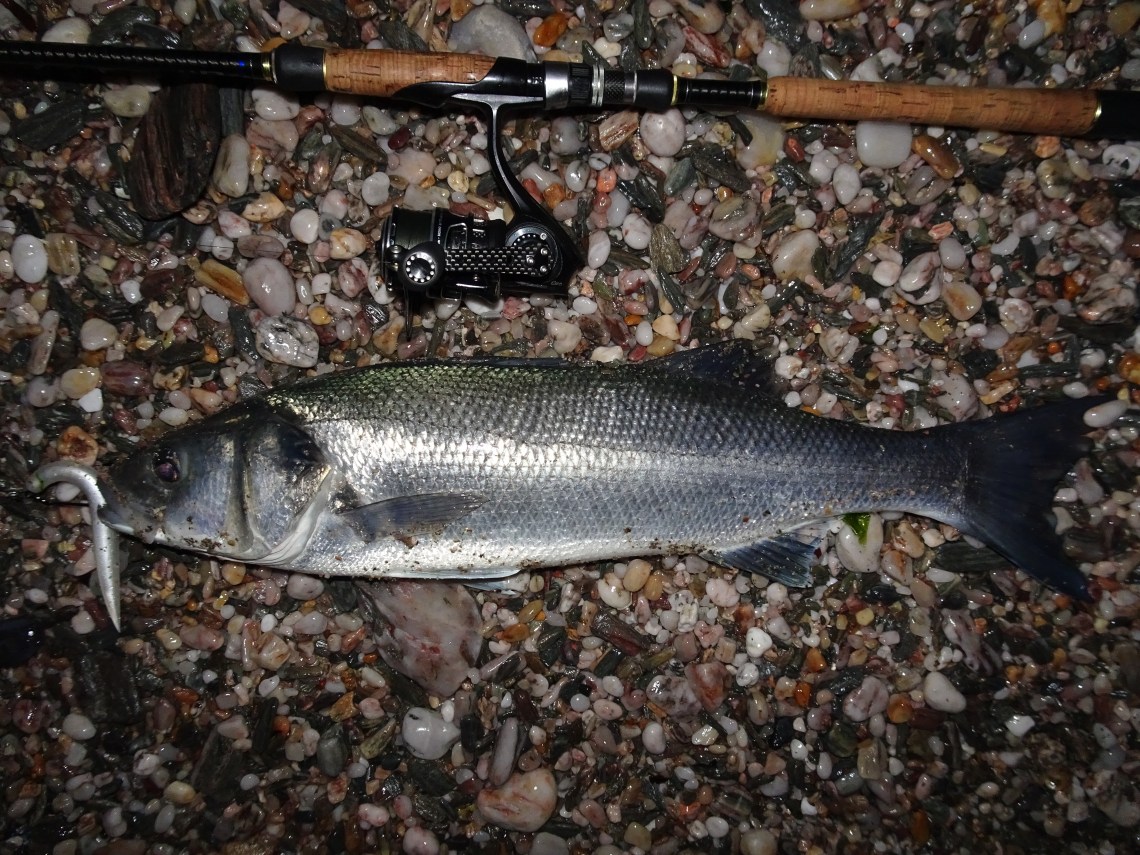 Catching bass on lures