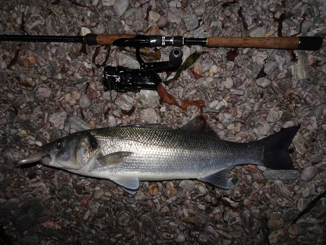 Where can i catch bass on lures