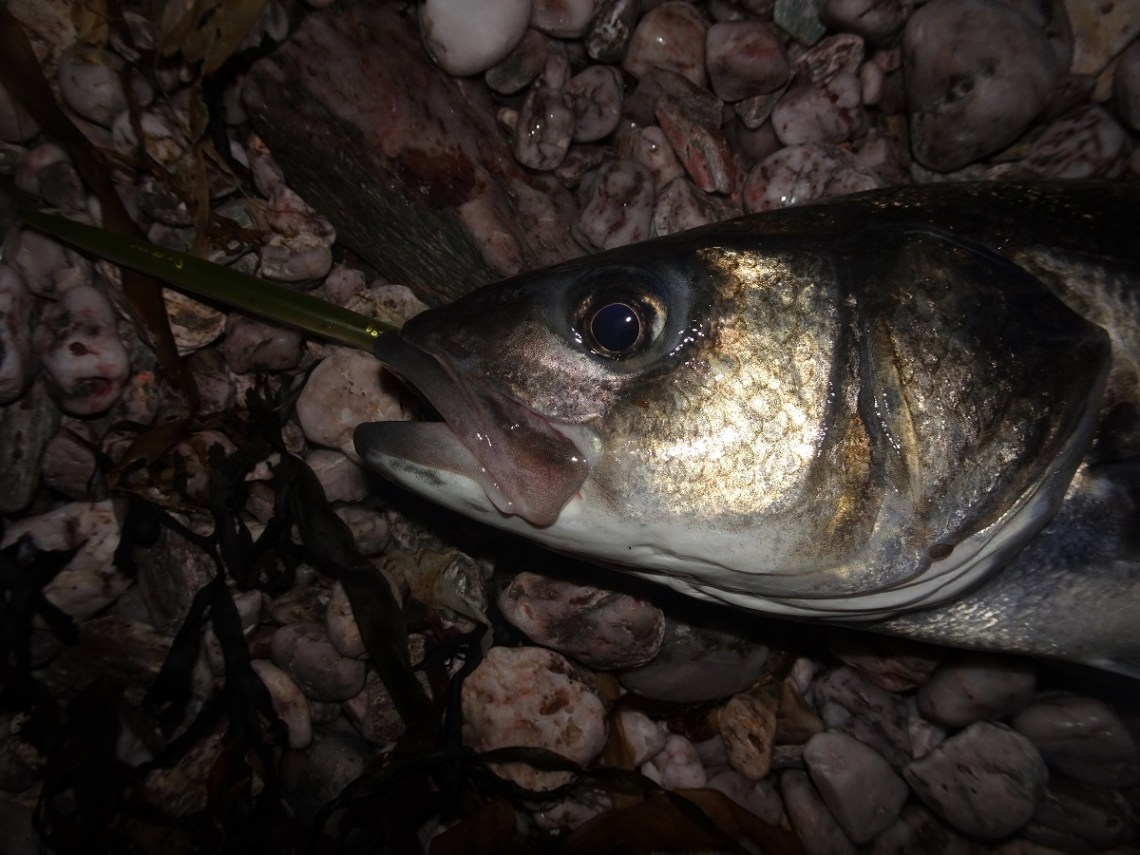 Savage Gear Line Thru Sandeel