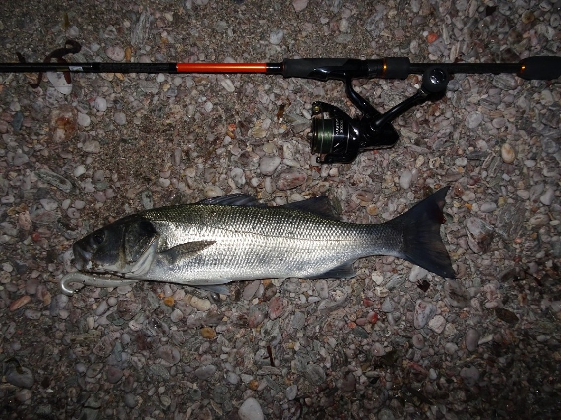 Graphite Leader Tiro