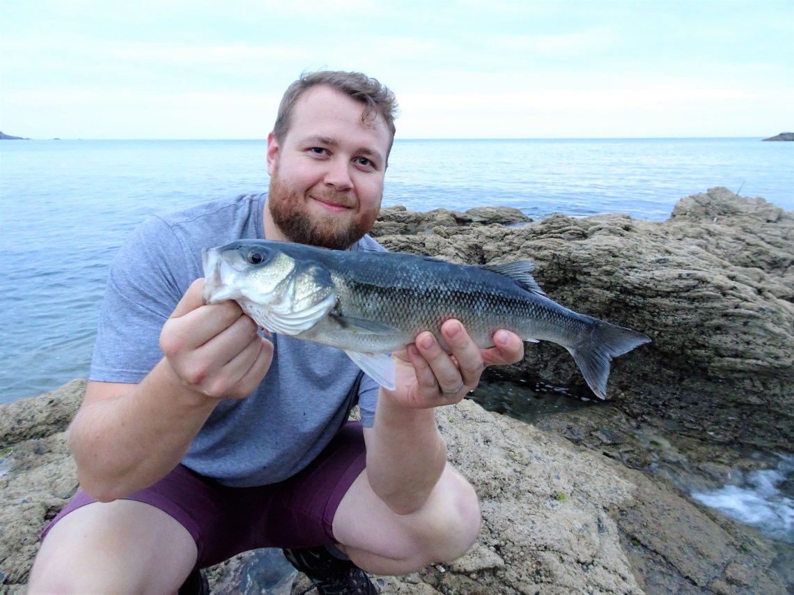 Small surface lures and bass