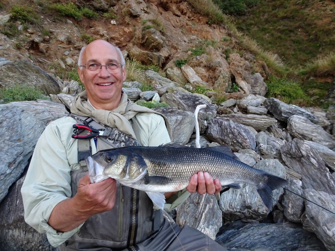 South Devon bass ona surface lure