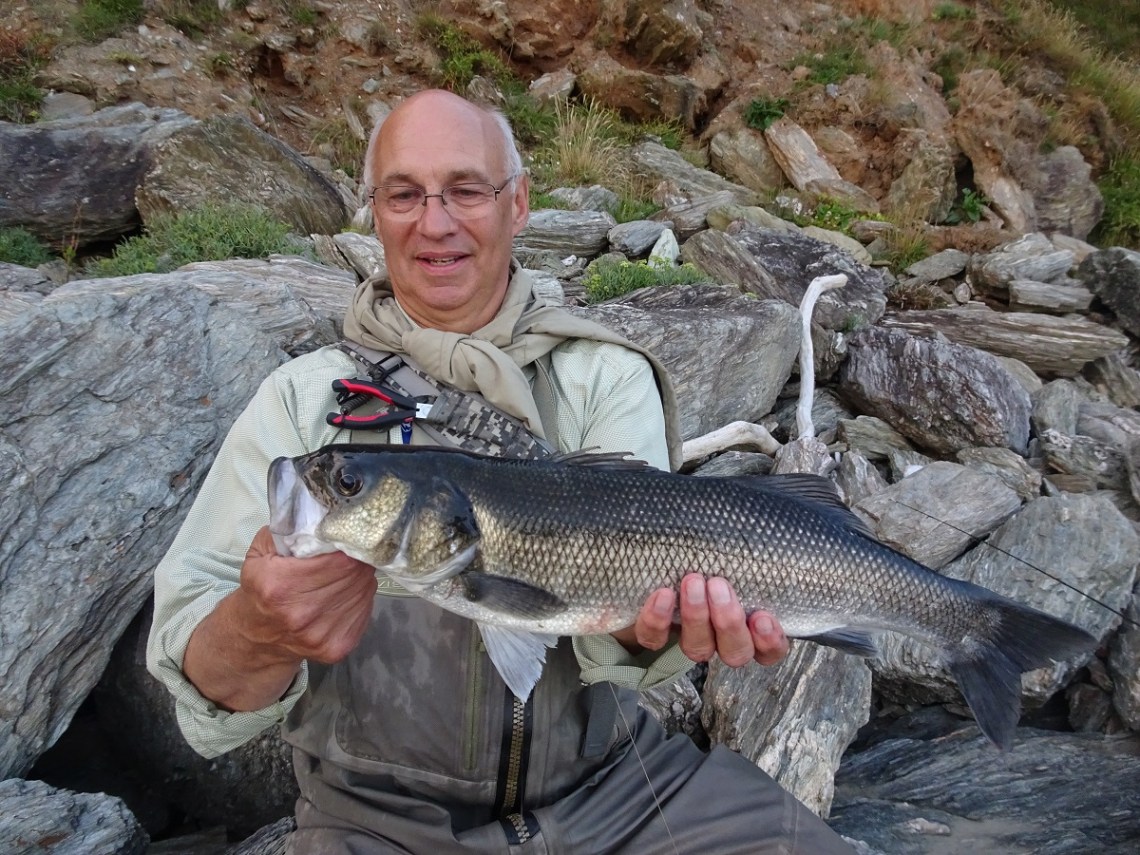 Surface lures and bass