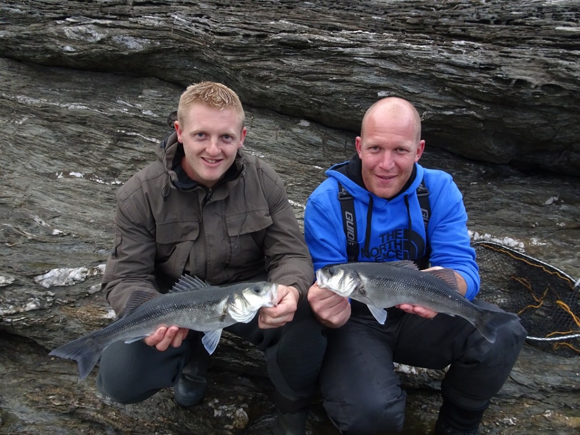 Double hokup of bass