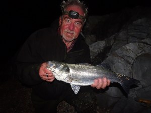 Bass at night in coloured water