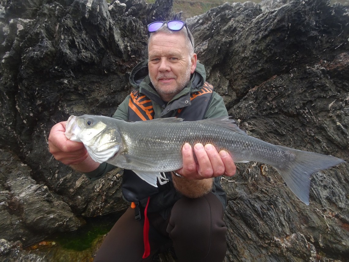 Bass caught on a shoreline shiner