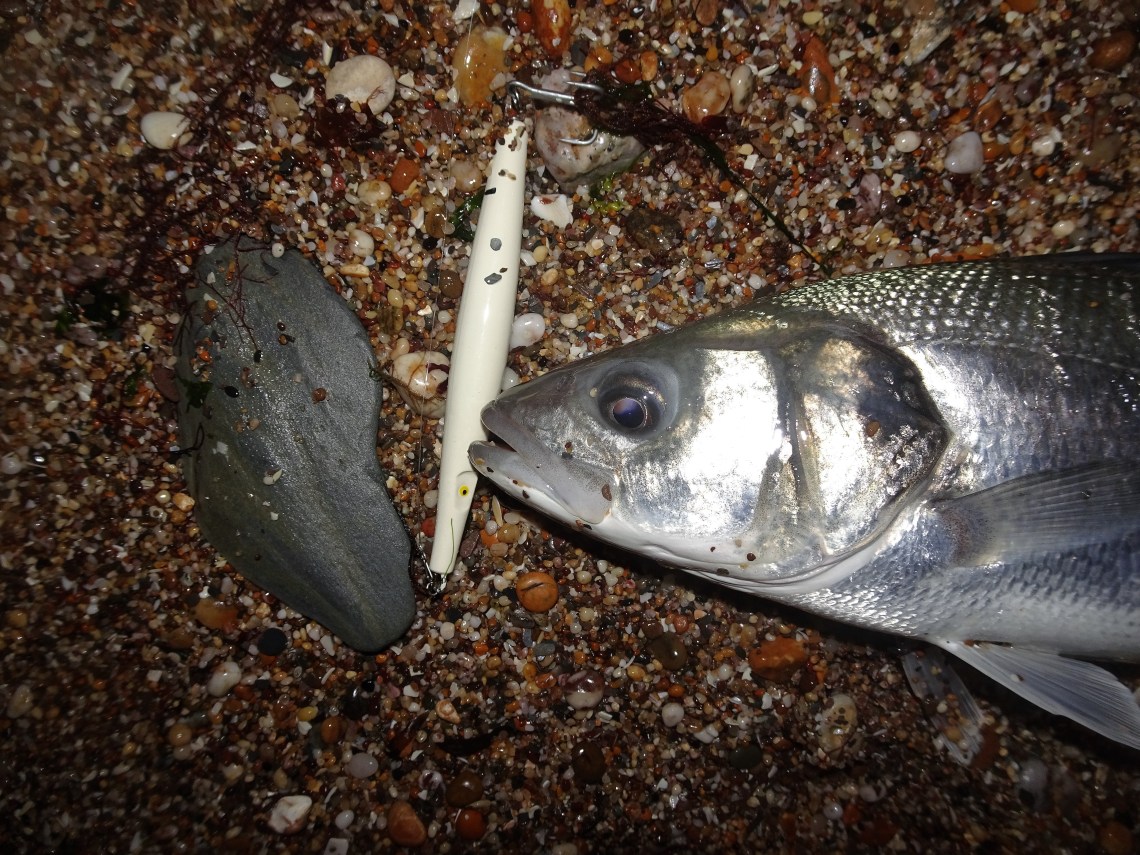 Super Strike N FIsh Needlefish