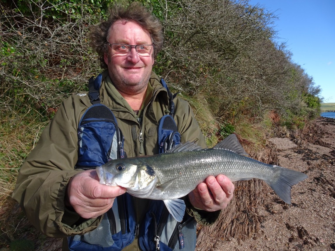 Bass on a cold morning