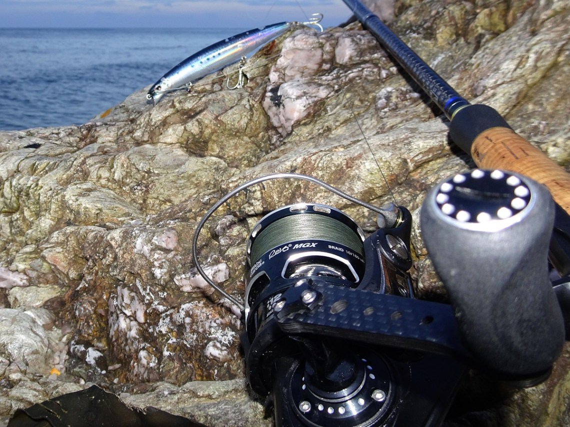 daiwa shoreline shiner z120f ssr