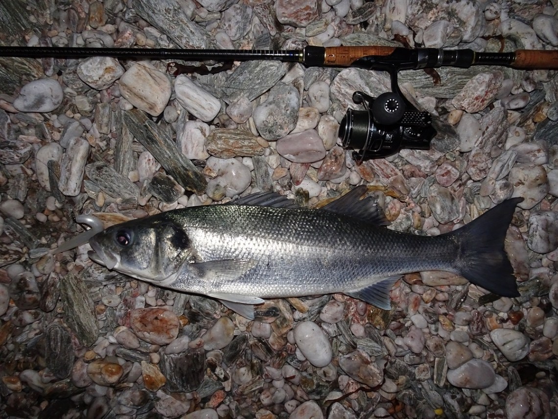 major craft skyroad 862ml