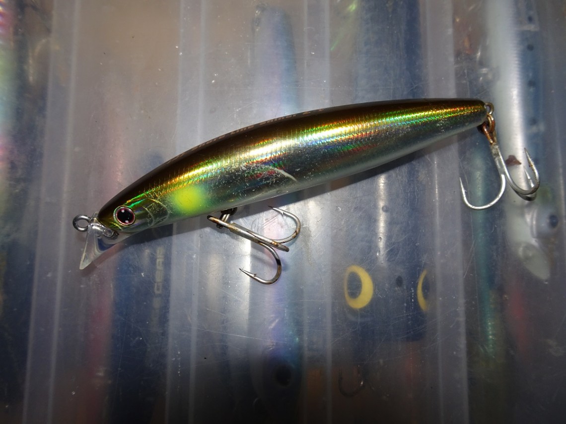 Daiwa Shoreline Shiner Z97F Vertice