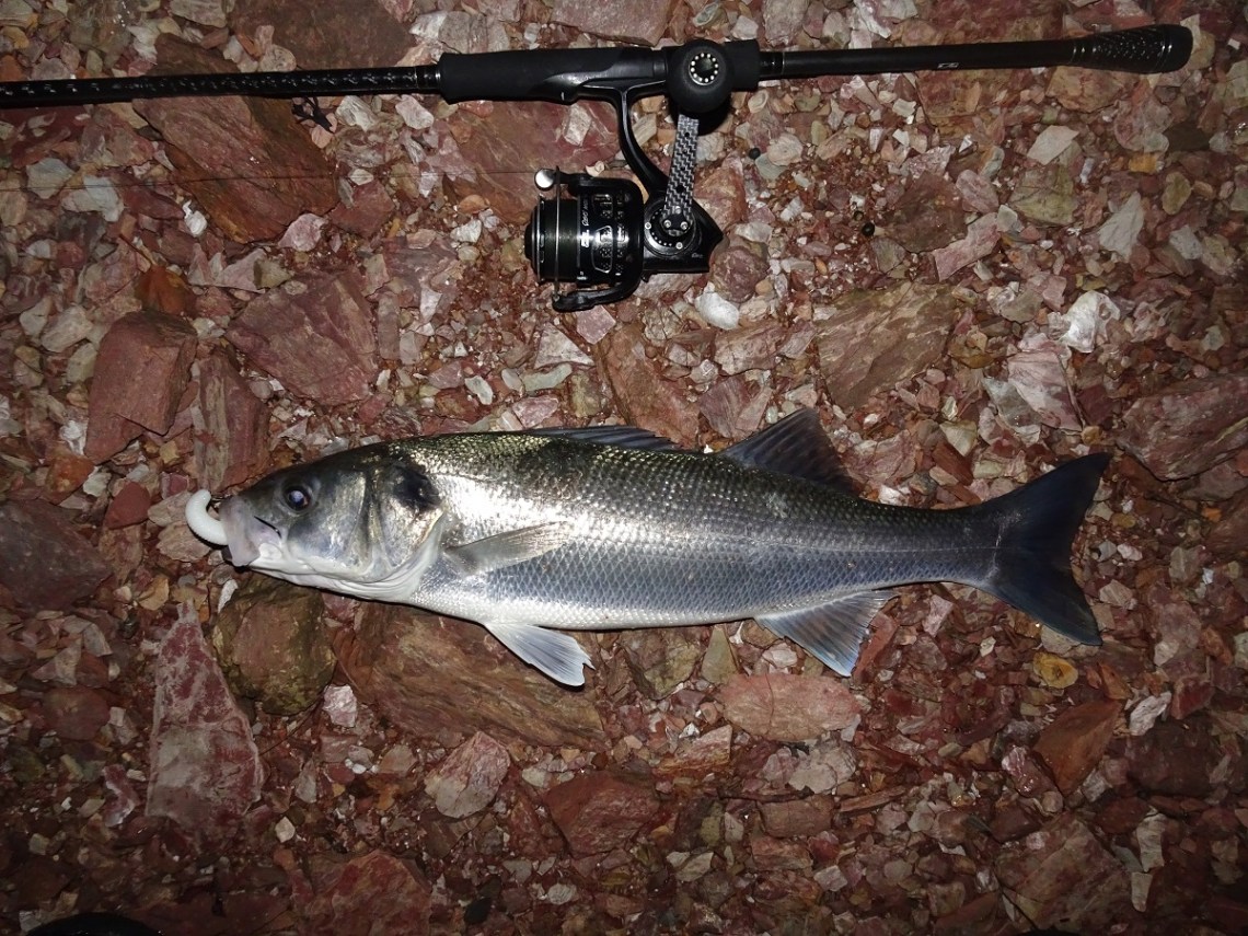 Tailwalk EGinn bass rods