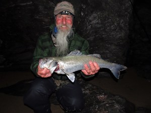 Bass caught on needlefish