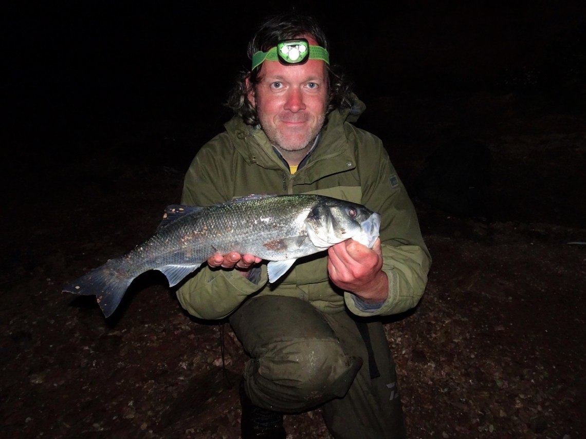 Bass on senkos at night