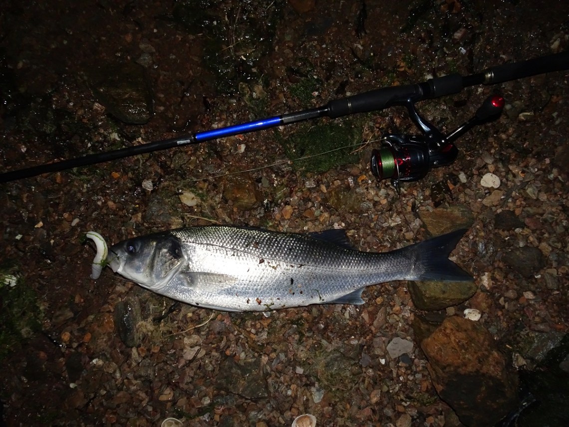 How to catch bass on lure in darkness