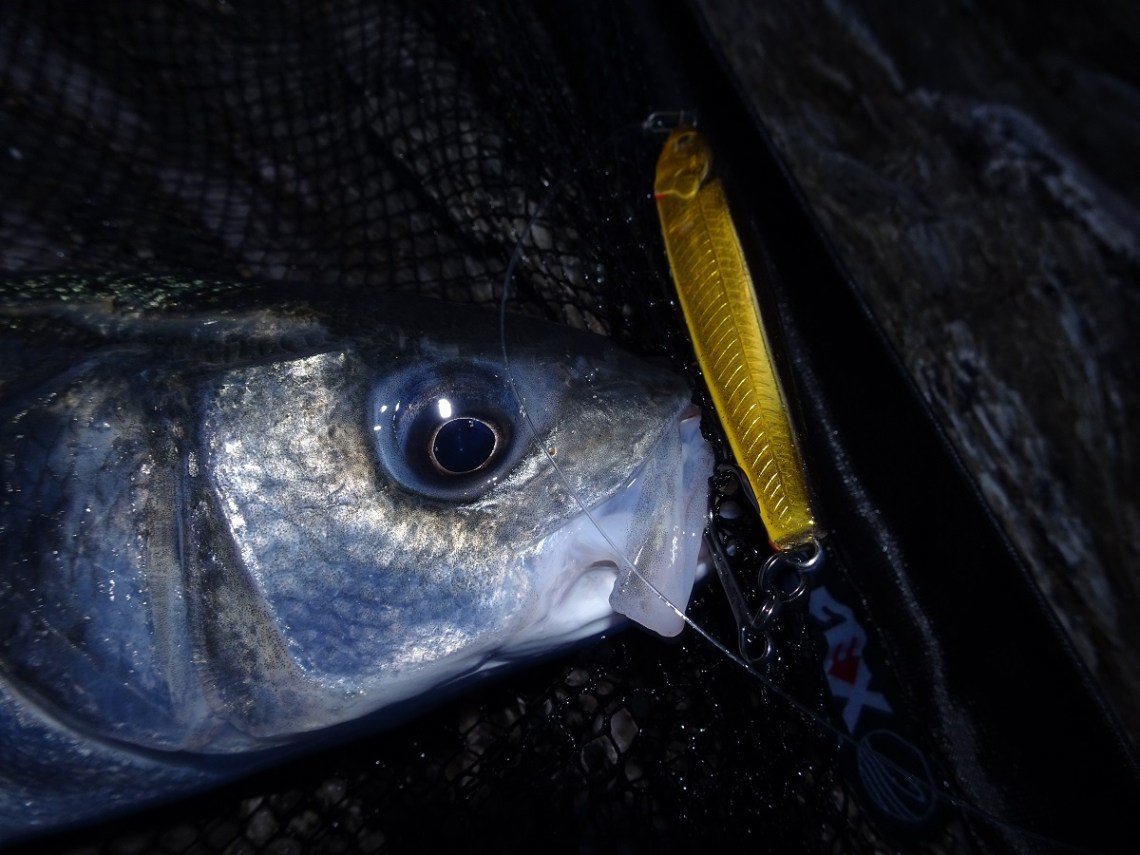 Savage Gear Pencil Prey