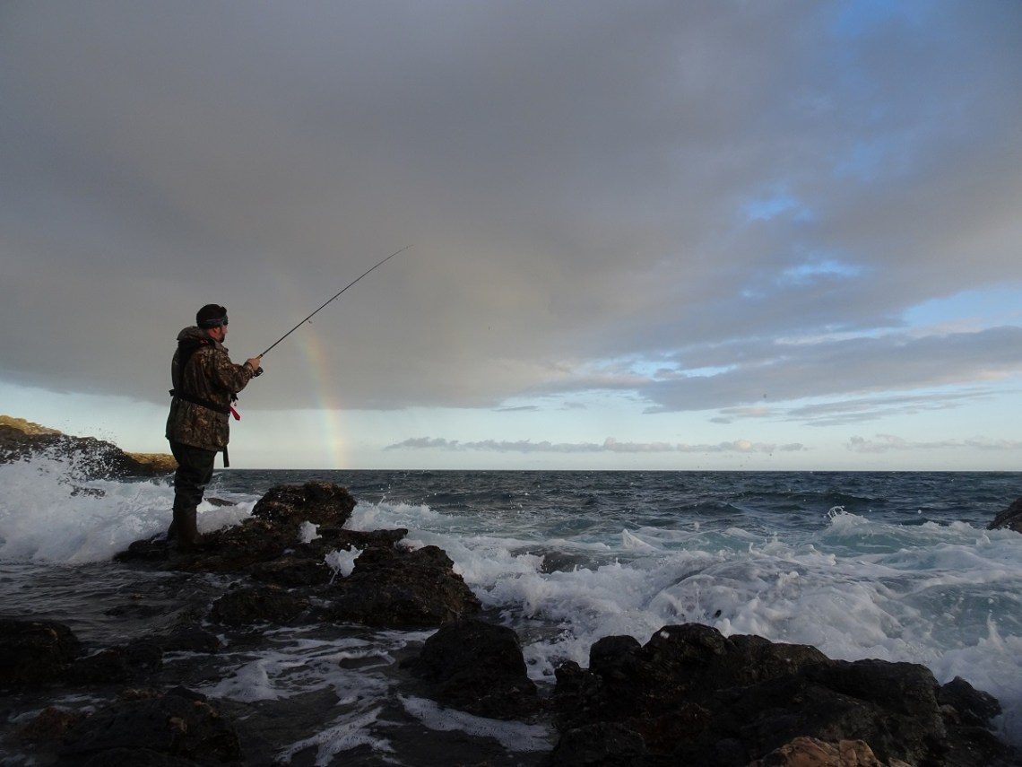 Bass fishing in daylight with lures
