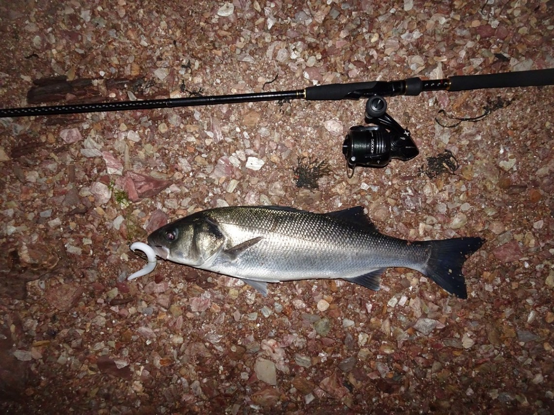 Bass from beaches at night