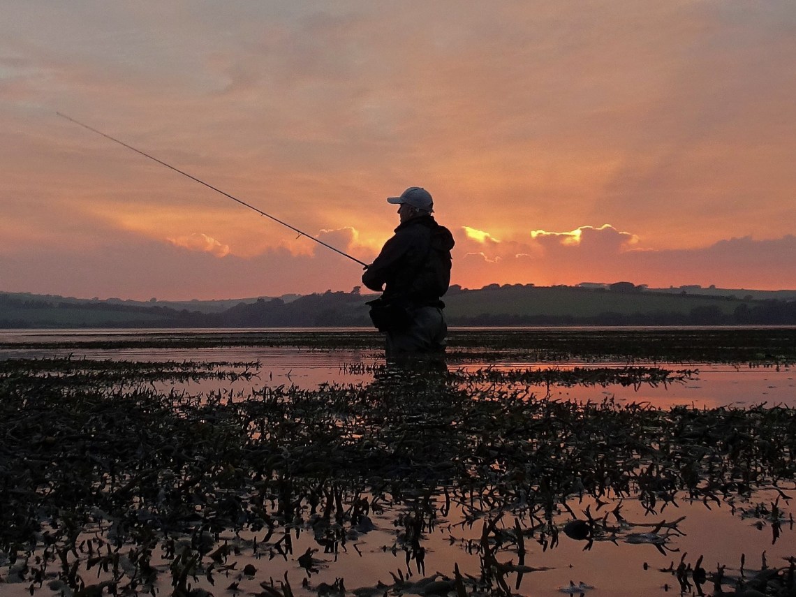 dusk in devon June 19
