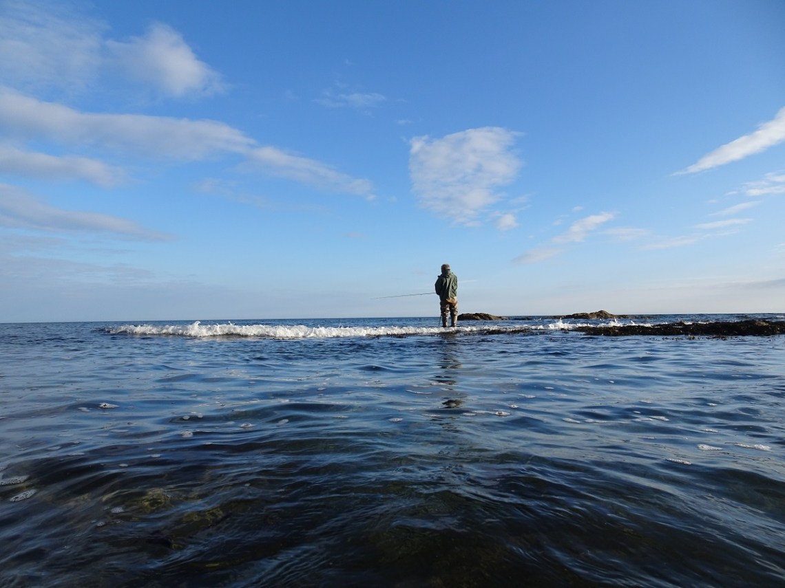 Sunny skies and bass