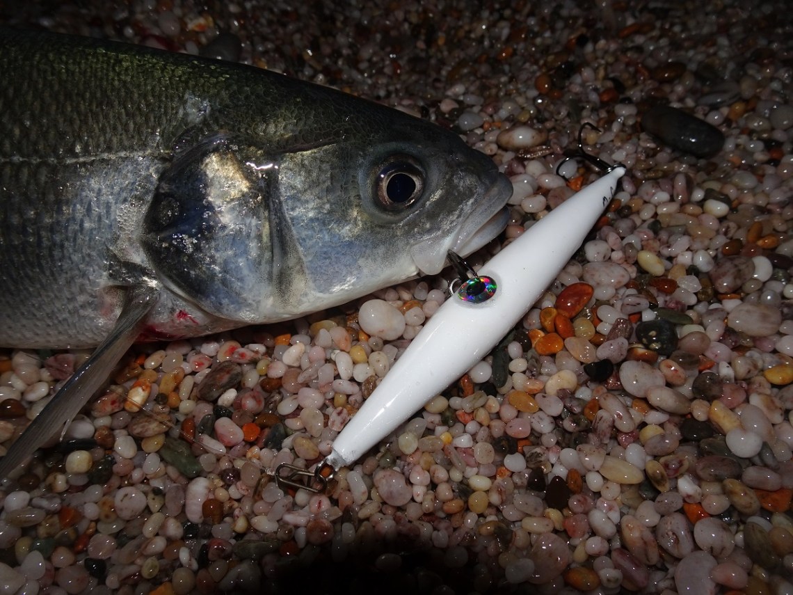 Marc Cowling Needlefish