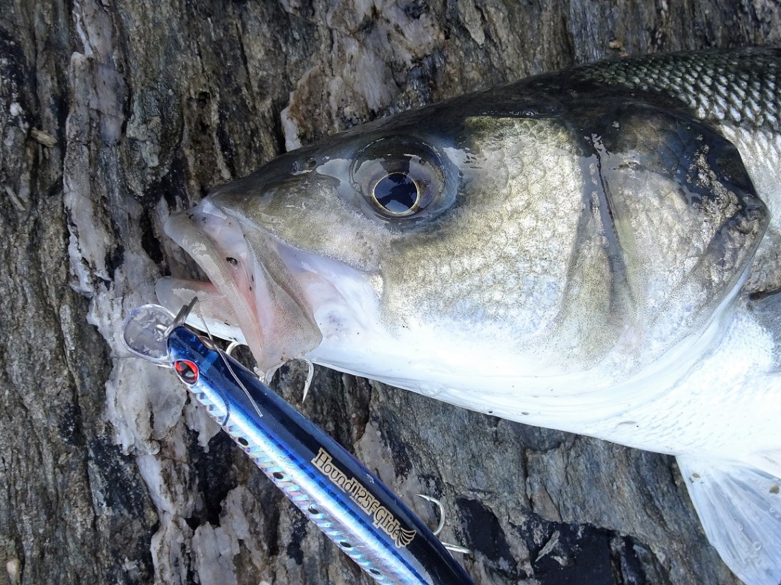 IMA Hound Glide 125F