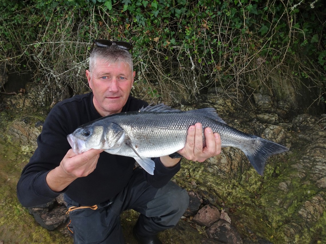 Bass caught on a Whiplash Factory Spittin Wire